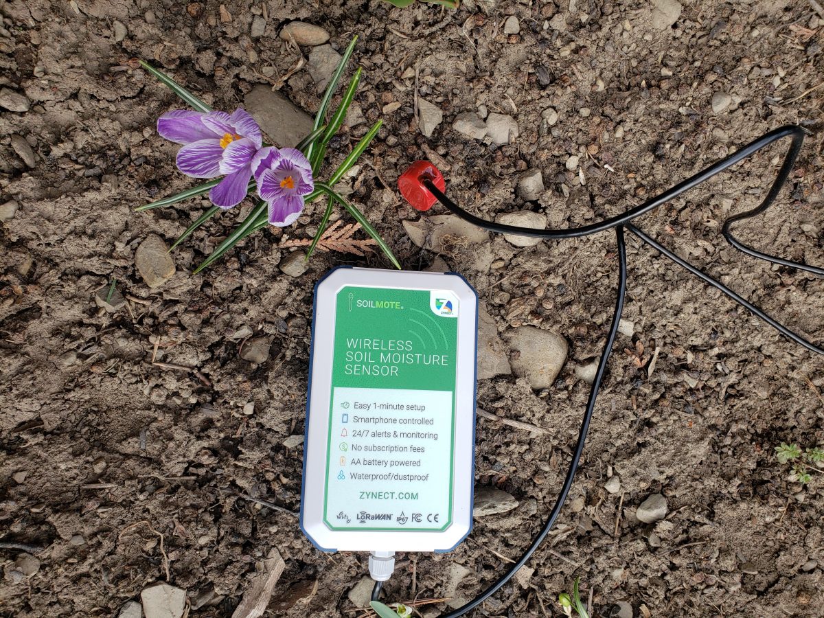 Soilmote Wireless Soil Moisture Sensor by Zynect