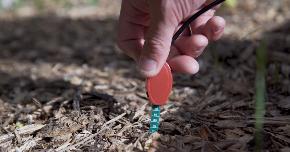 Soilmote Wireless Soil Moisture Sensor by Zynect